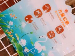 -九龙公园