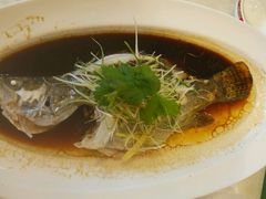 android_upload_pic-国力仁和(凤城三路店)