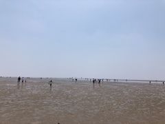 -碧海金沙