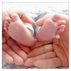 -海豚湾高端月子会所(黄浦店)