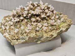 -湖南省地质博物馆