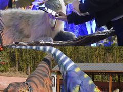 -中国西峡恐龙遗迹园