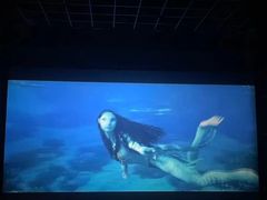 -幸福蓝海国际影城(河西店)