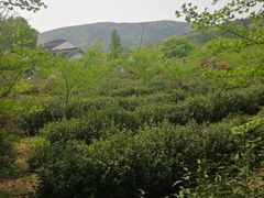 -九龙潭景区