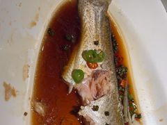 -绿茶餐厅(青岛城阳万象汇店)