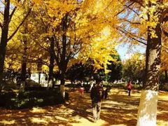 -辽东学院(南校区)