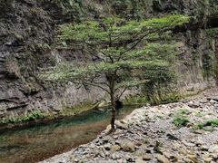 -宜昌富力皇冠假日酒店·咖啡1号西餐厅