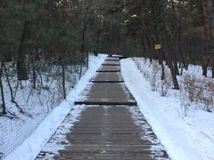 -帽儿山国家森林公园