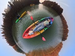 -上海海湾国家森林公园