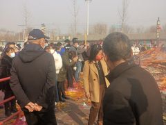 -药王庙(安国市)