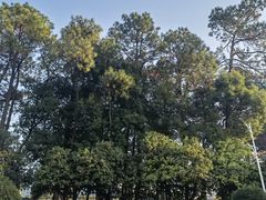 -江西财经大学(蛟桥园南校区)