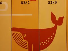 -蓝鲸湾汤泉(包河店)