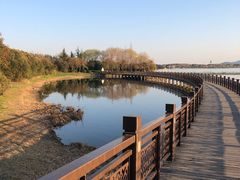 -渤公岛生态公园