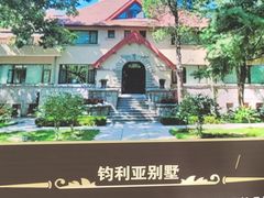 -八大关景区