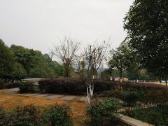 -沙河三洞古桥公园