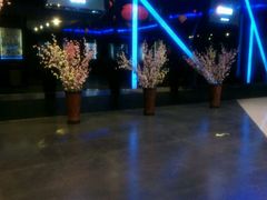 -李先生牛肉面(长春红旗街店)