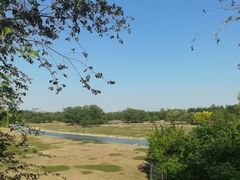 -北京麋鹿生态实验中心