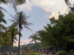 -深圳湾公园(南山区)