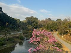 -东莞植物园