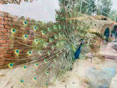 -北京鹿世界主题园