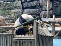 -大青山野生动物园