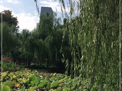 -后襄河公园