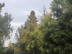 -白鹭湾湿地公园