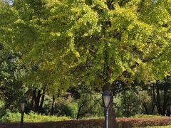 -苏州河梦清园环保主题公园