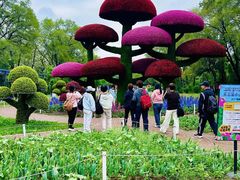 -沈阳植物园
