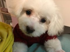 -沐沐家宠物(成寿寺店)