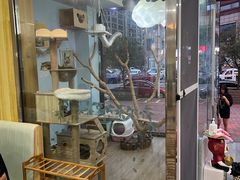 -牛喵喵铜锅牛肉馆