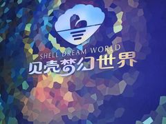 -贝壳梦幻世界