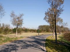 -东郊湿地公园