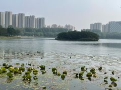 -丁香湖公园