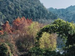 -贵阳市花溪国家城市湿地公园