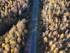 -五营红松林海景区