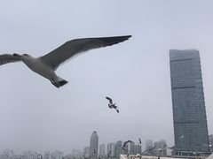 -星海广场