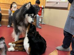 -和它·交个朋友·狗咖猫咖(爱琴海店)