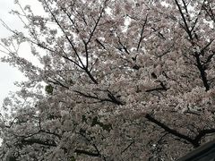 -上海浦东新区乐乡公墓