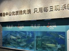 -淘米捞·米汤脆鲩鱼火锅(福田皇岗店)