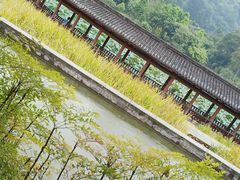 -龙头寺公园