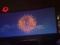 -枫花园汽车电影院(朝阳公园店)