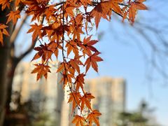 -杭州城北体育公园