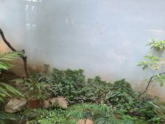 -花迹(富春江东街店)
