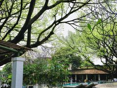 -喜洲吧·江畔老船厂·庭院餐厅(喜临院店)
