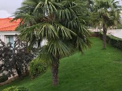 -昆明春城湖畔度假村