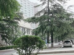 -中国人民解放军空军特色医学中心(空军总医院)