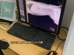-瑞派长江宠物医院·猫科·外科·24小时夜护(谊城公寓分院)