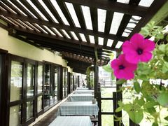 -Local泰莲庭(虹鳟鱼店)
