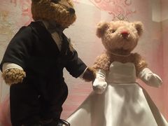 -济州岛泰迪熊博物馆